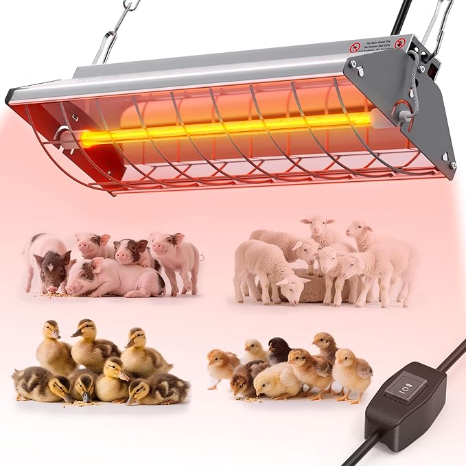 Custom livestock heat lamp