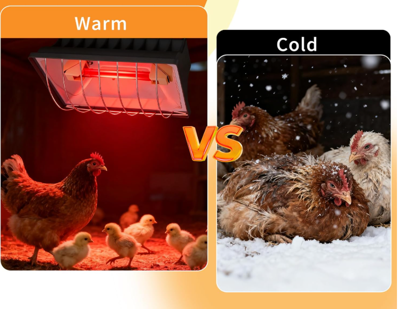 Customized heat lamp
