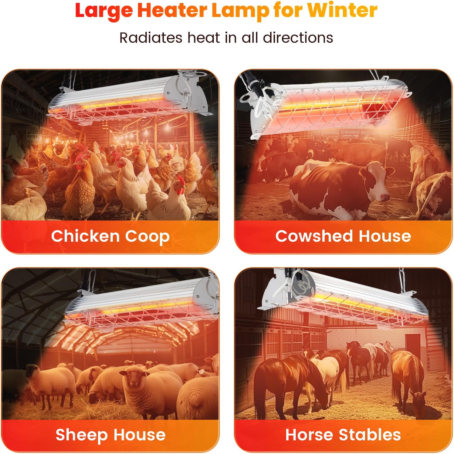 Calf heater for export market